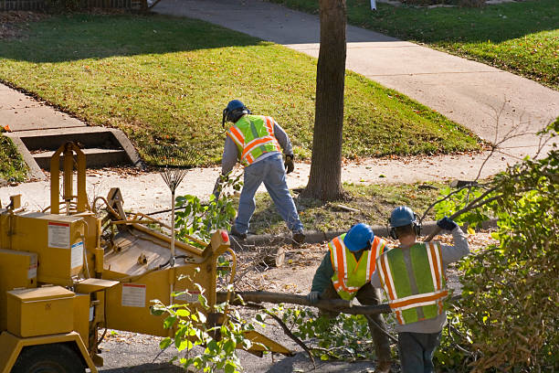 Landscape Design and Installation in North Tustin, CA