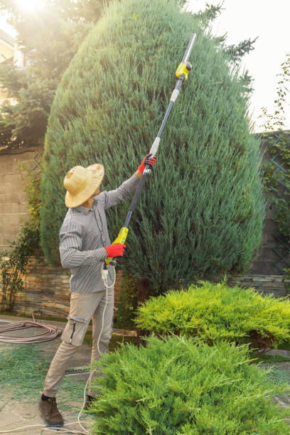 Mulching Services in North Tustin, CA